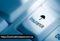When Did Insurance Companies Stop Insuring Houses in Florida?