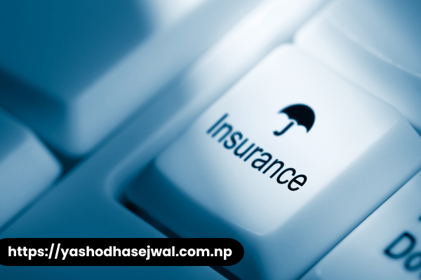 When Did Insurance Companies Stop Insuring Houses in Florida?